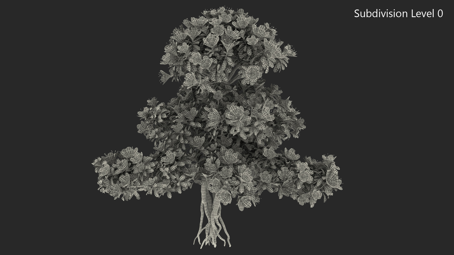 Bonsai Tree with Flowers 3D model