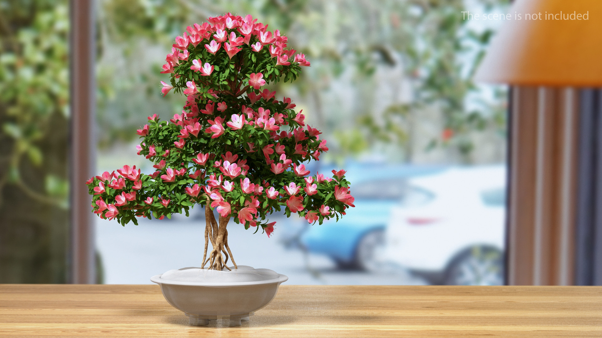 Bonsai Tree with Flowers 3D model