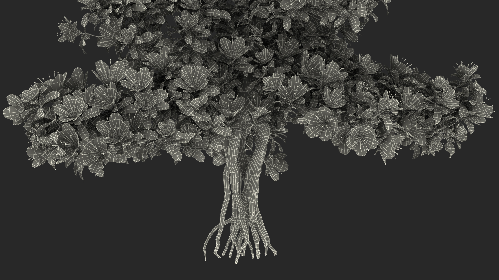 Bonsai Tree with Flowers 3D model