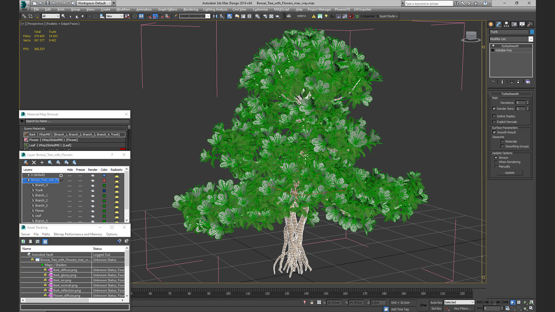 Bonsai Tree with Flowers 3D model