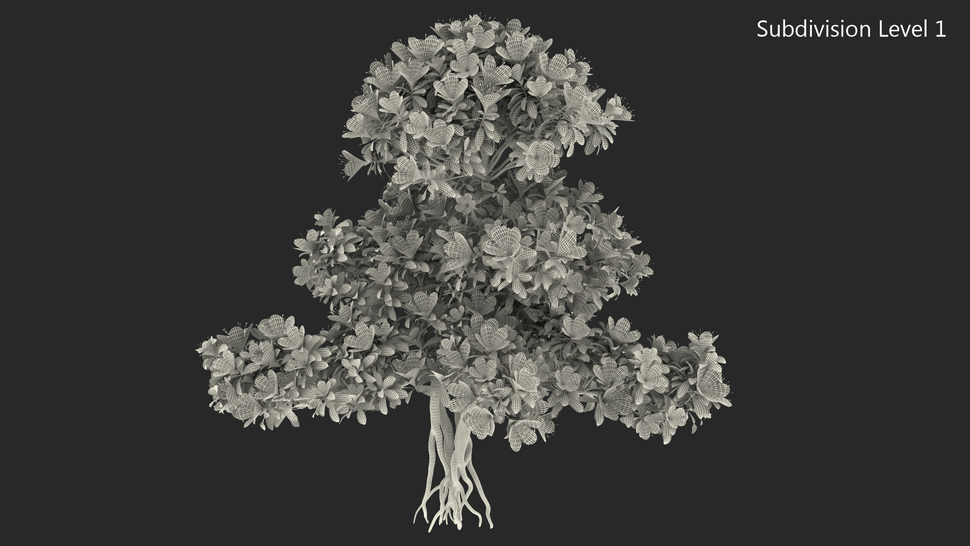 Bonsai Tree with Flowers 3D model