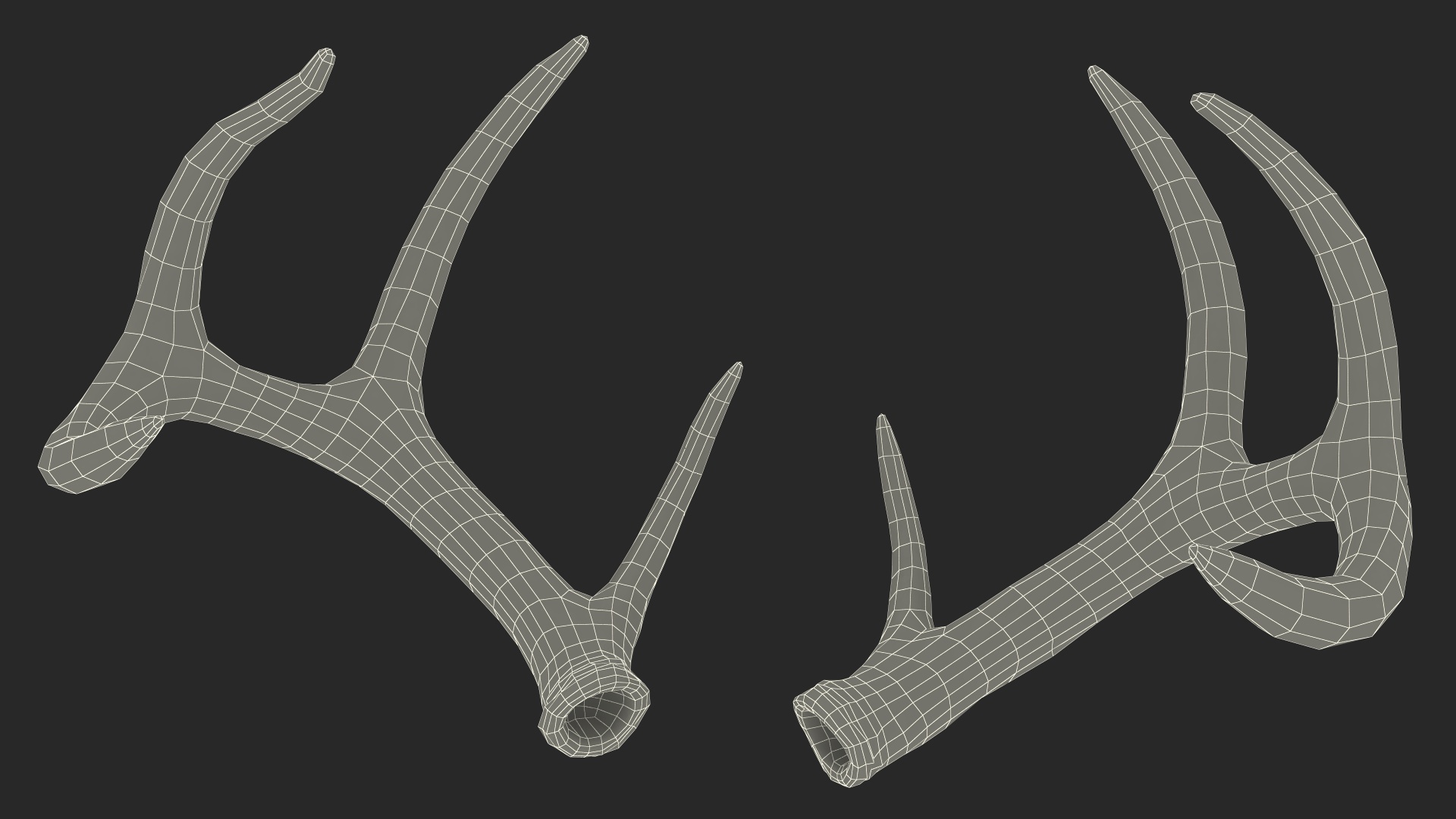 Antlers 3D model