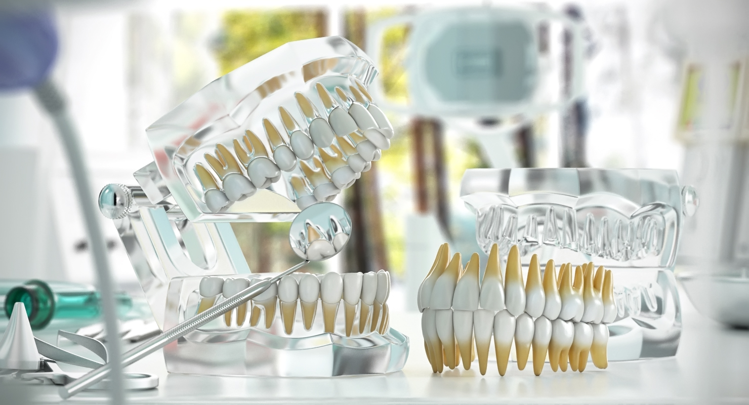 3D model Teeths Medical Model