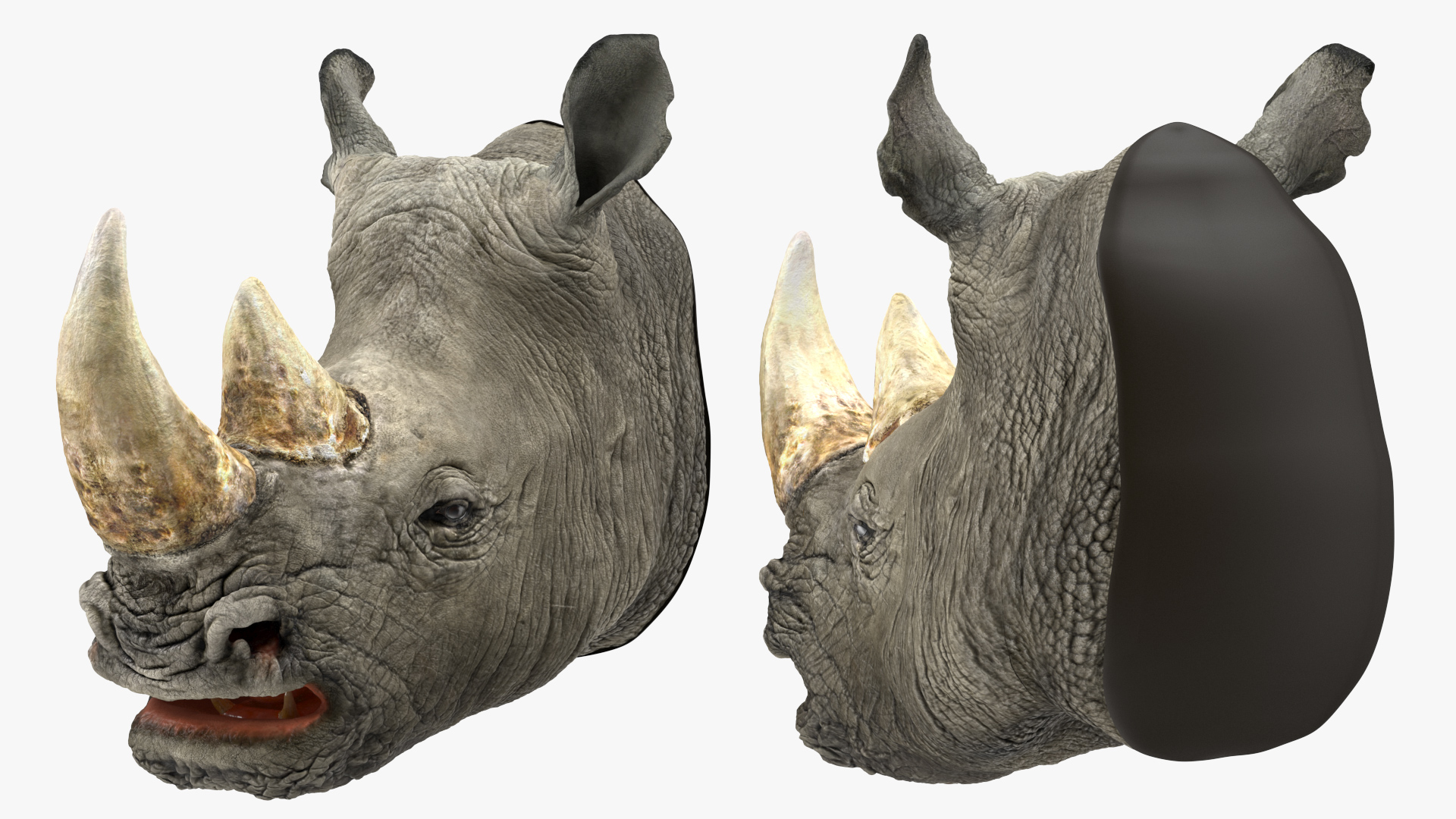 3D model Rhino Head