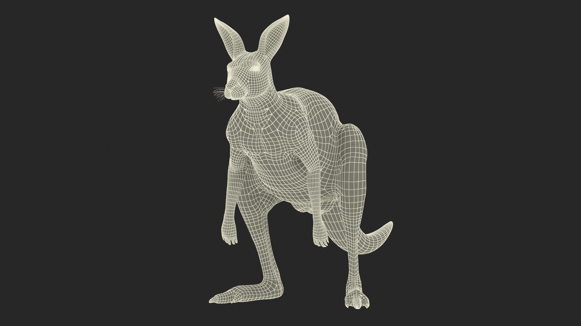 Kangaroo Fur 3D