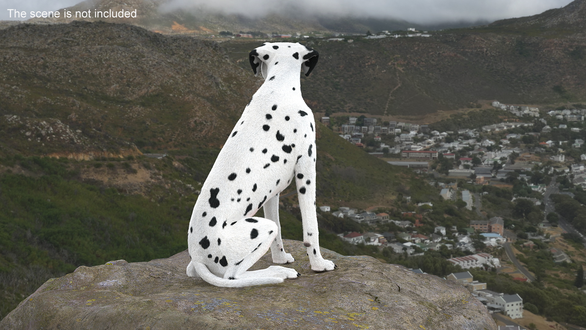 3D model Dalmatian Dog Sitting Pose Fur