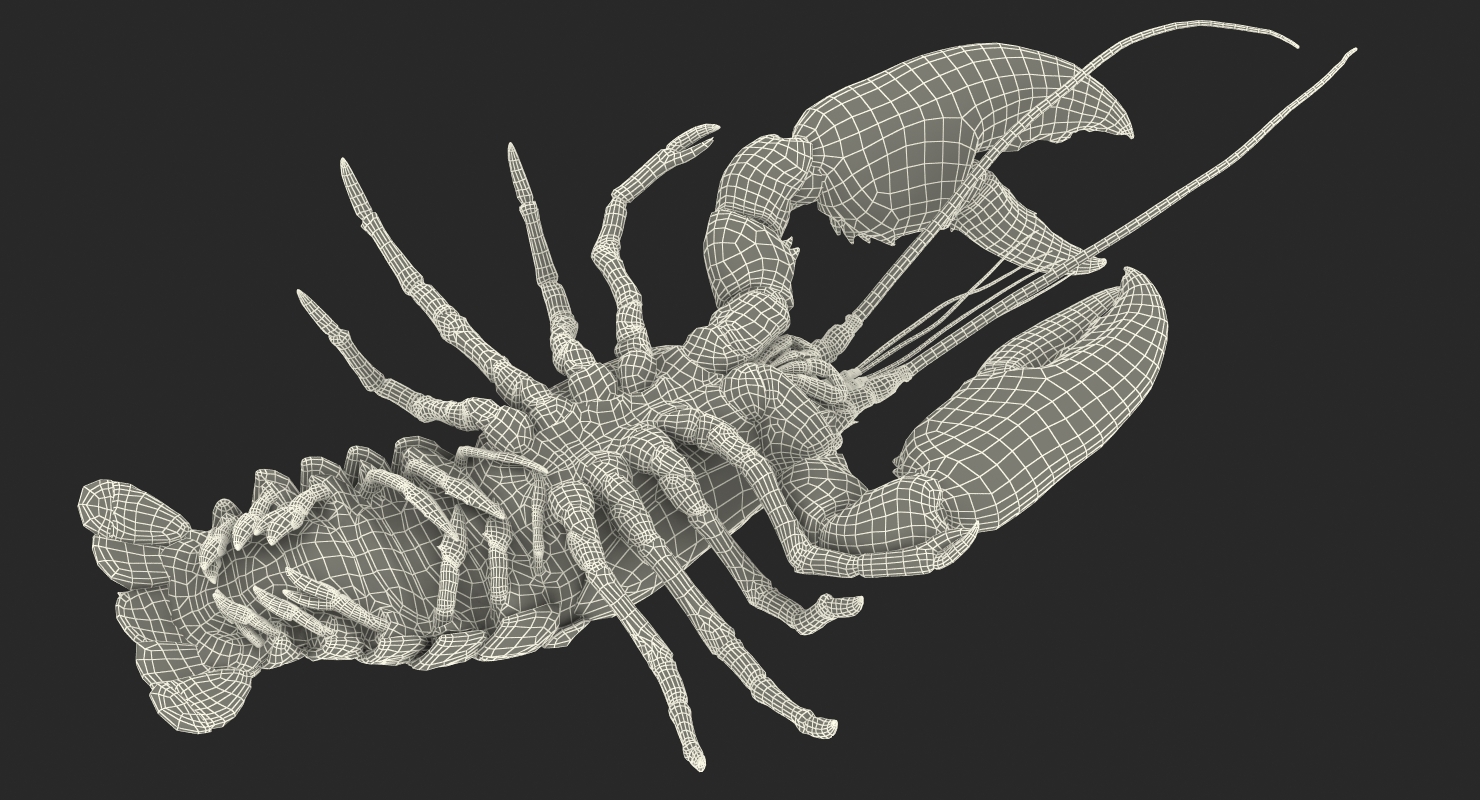 Lobster Pose 3 3D model