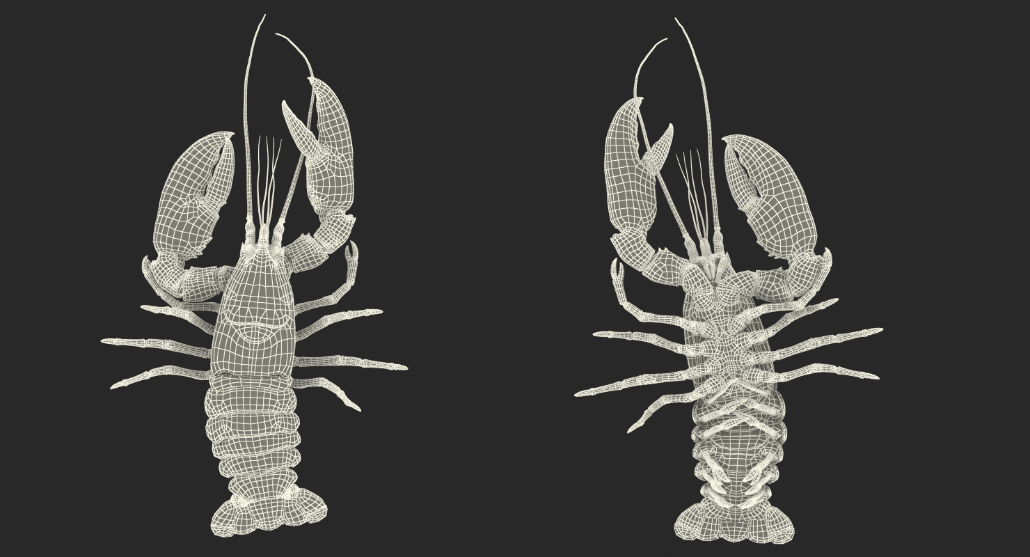 Lobster Pose 3 3D model