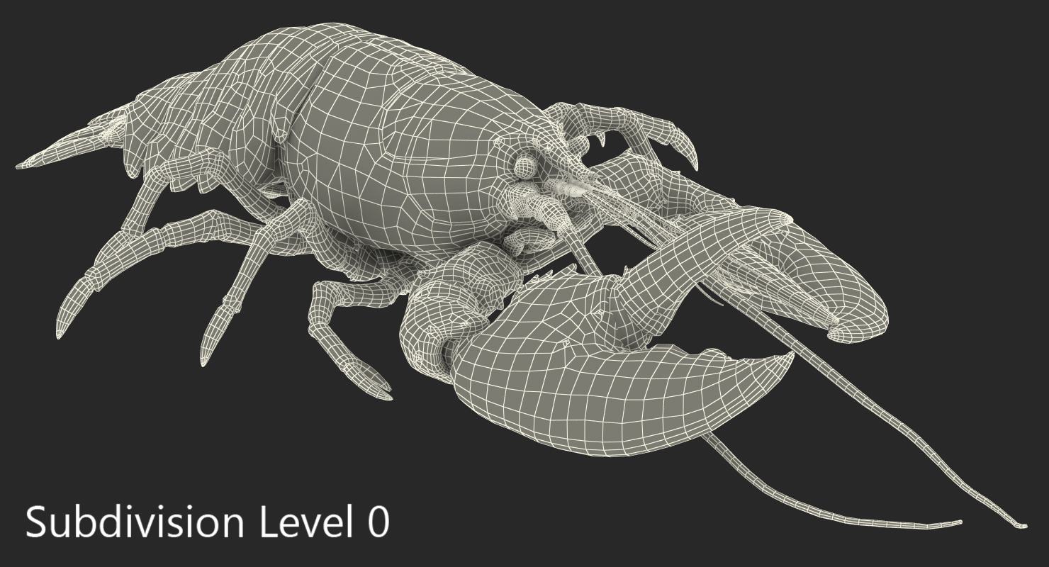 Lobster Pose 3 3D model