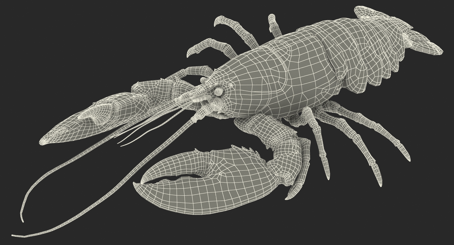 Lobster Pose 3 3D model