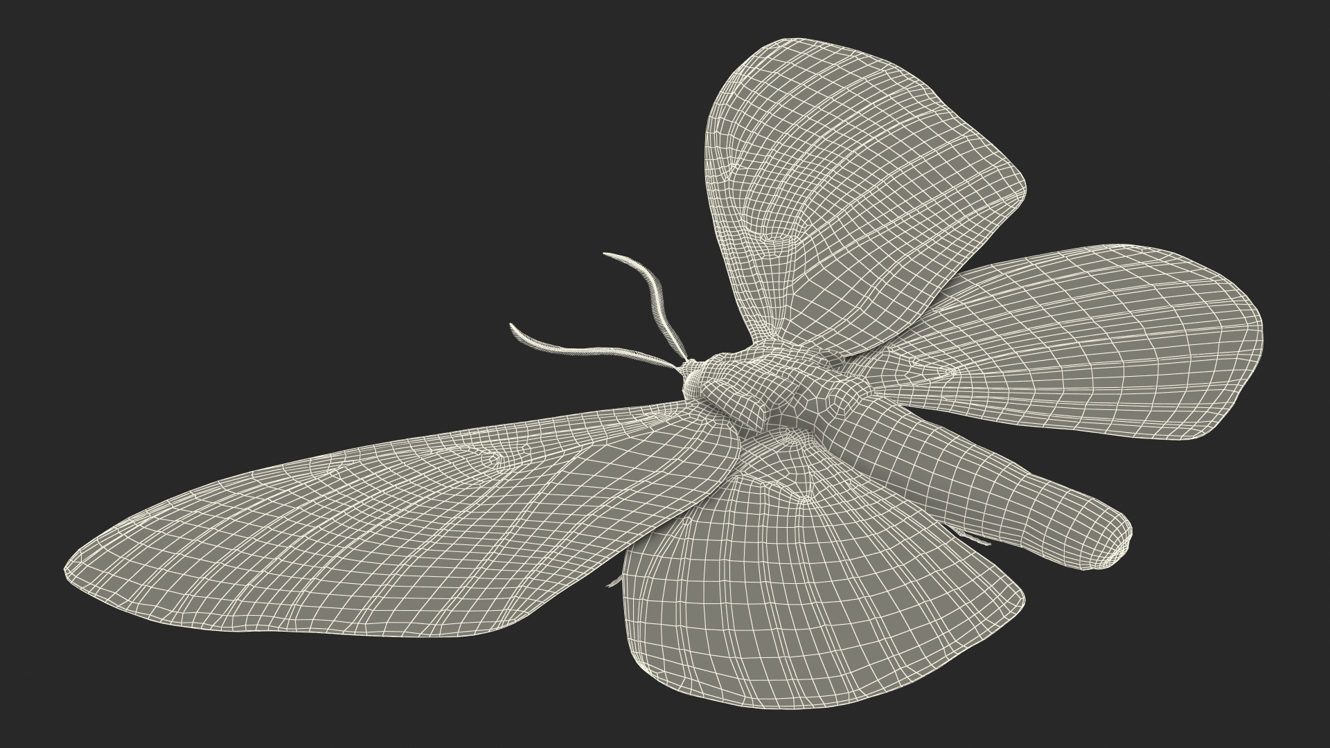 3D model Owl Moth