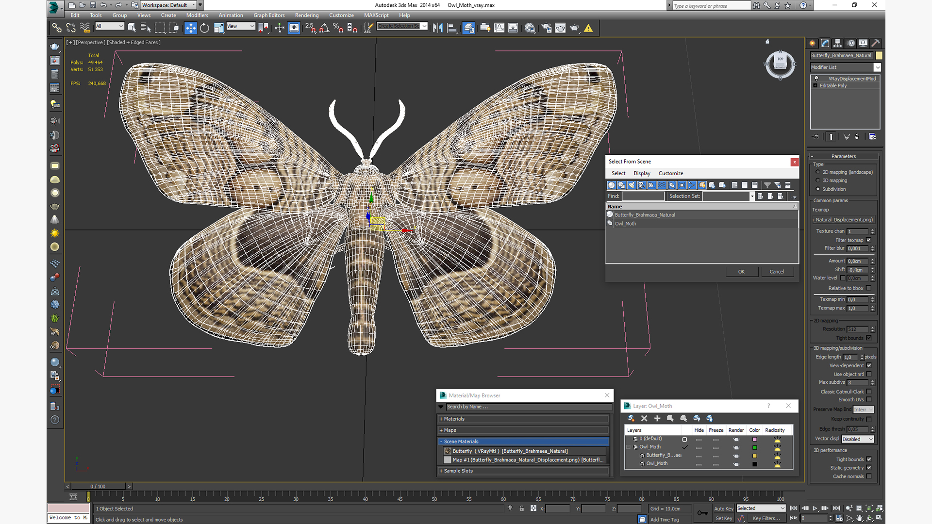 3D model Owl Moth