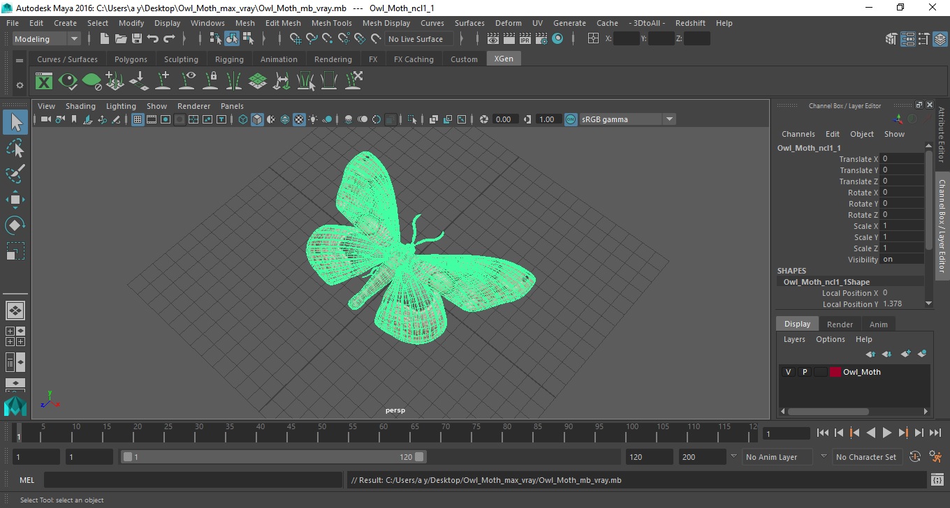 3D model Owl Moth