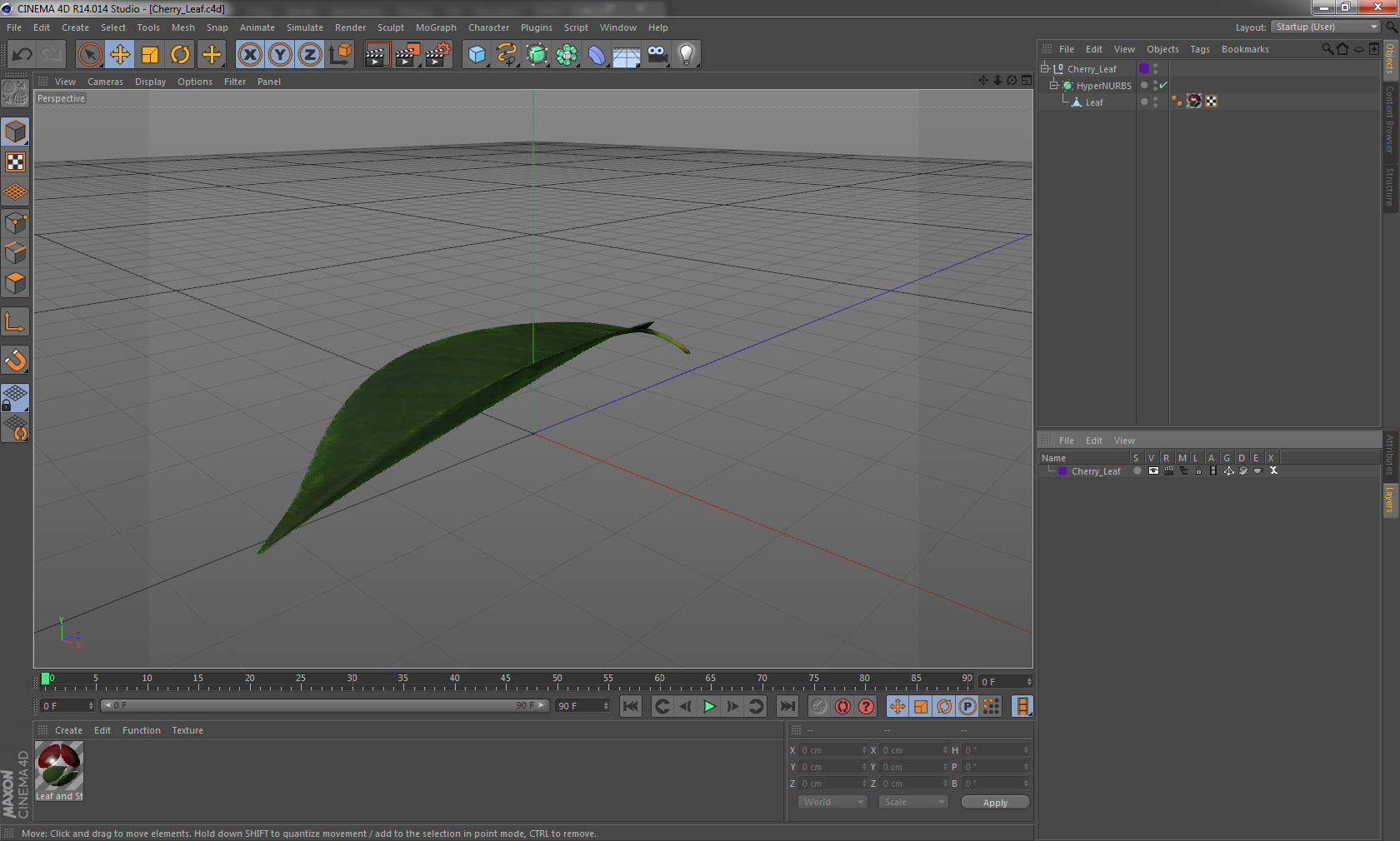 3D Cherry Leaf