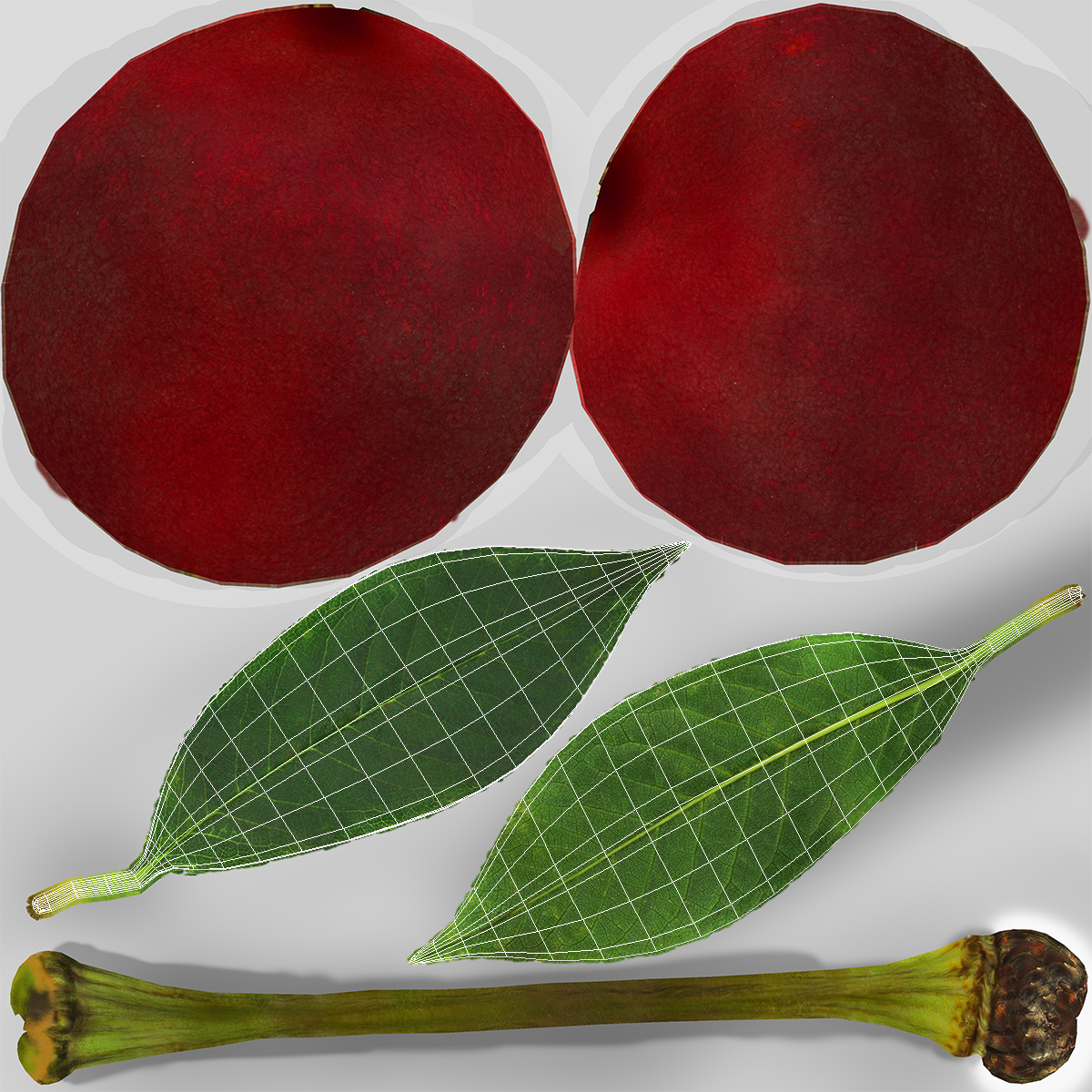 3D Cherry Leaf