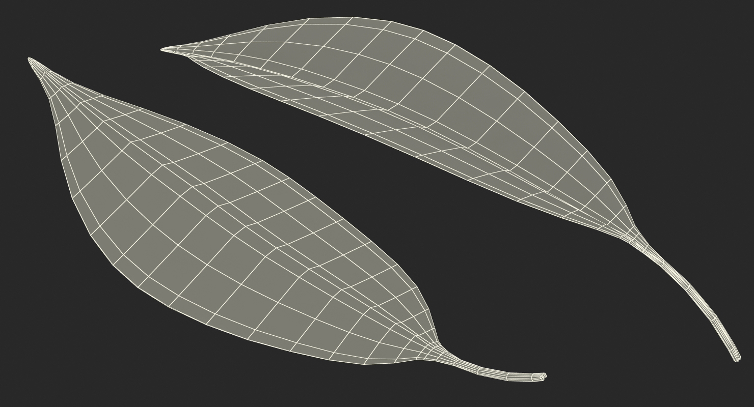 3D Cherry Leaf