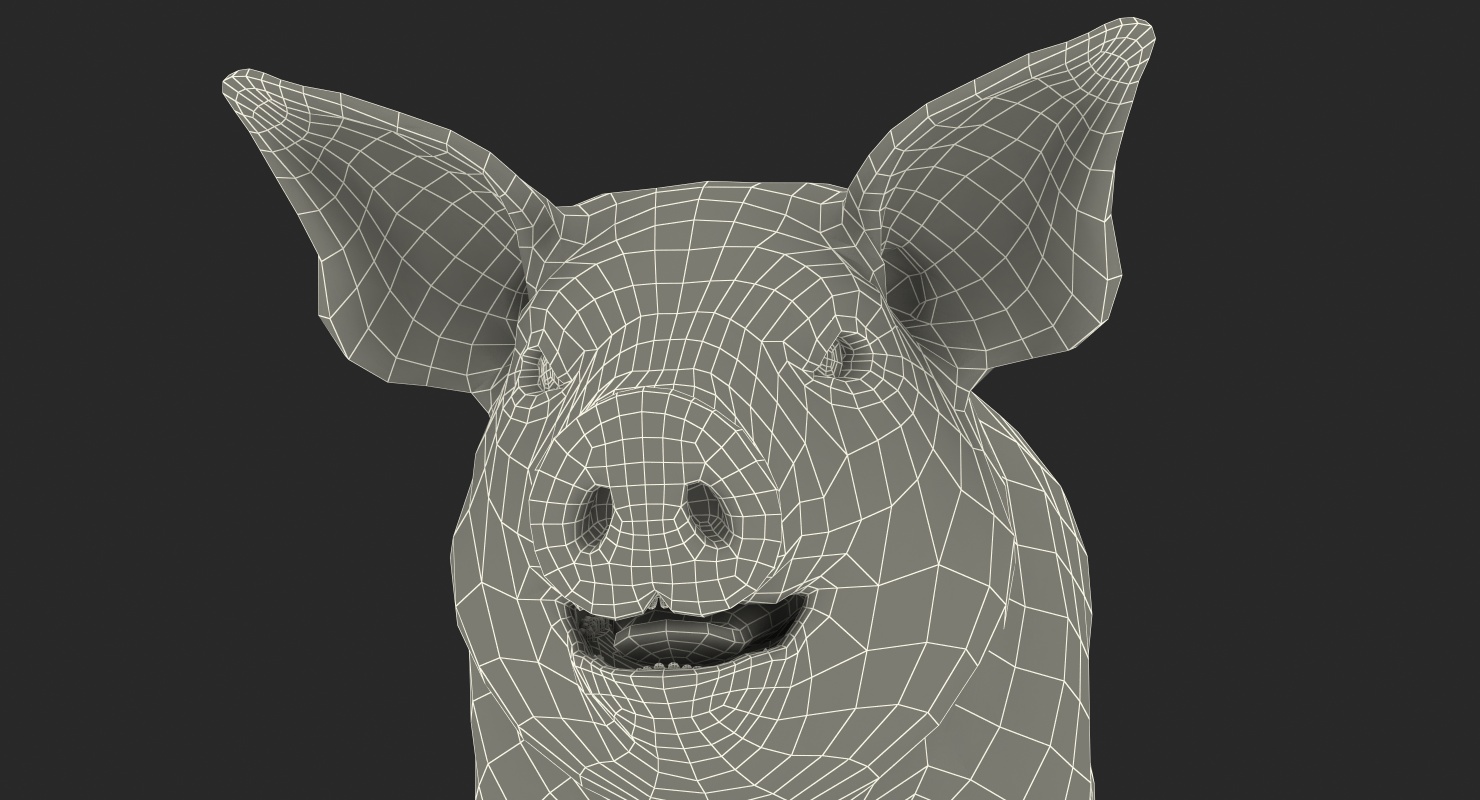 Pig Piglet Landrace 3D model