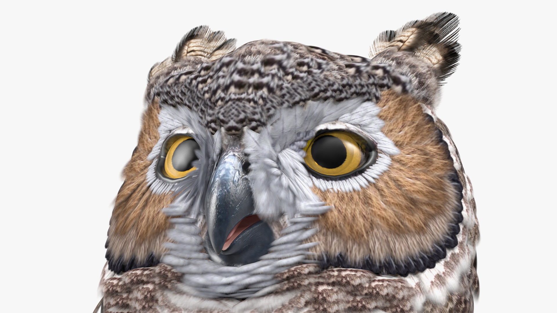 3D Great Horned Owl Head