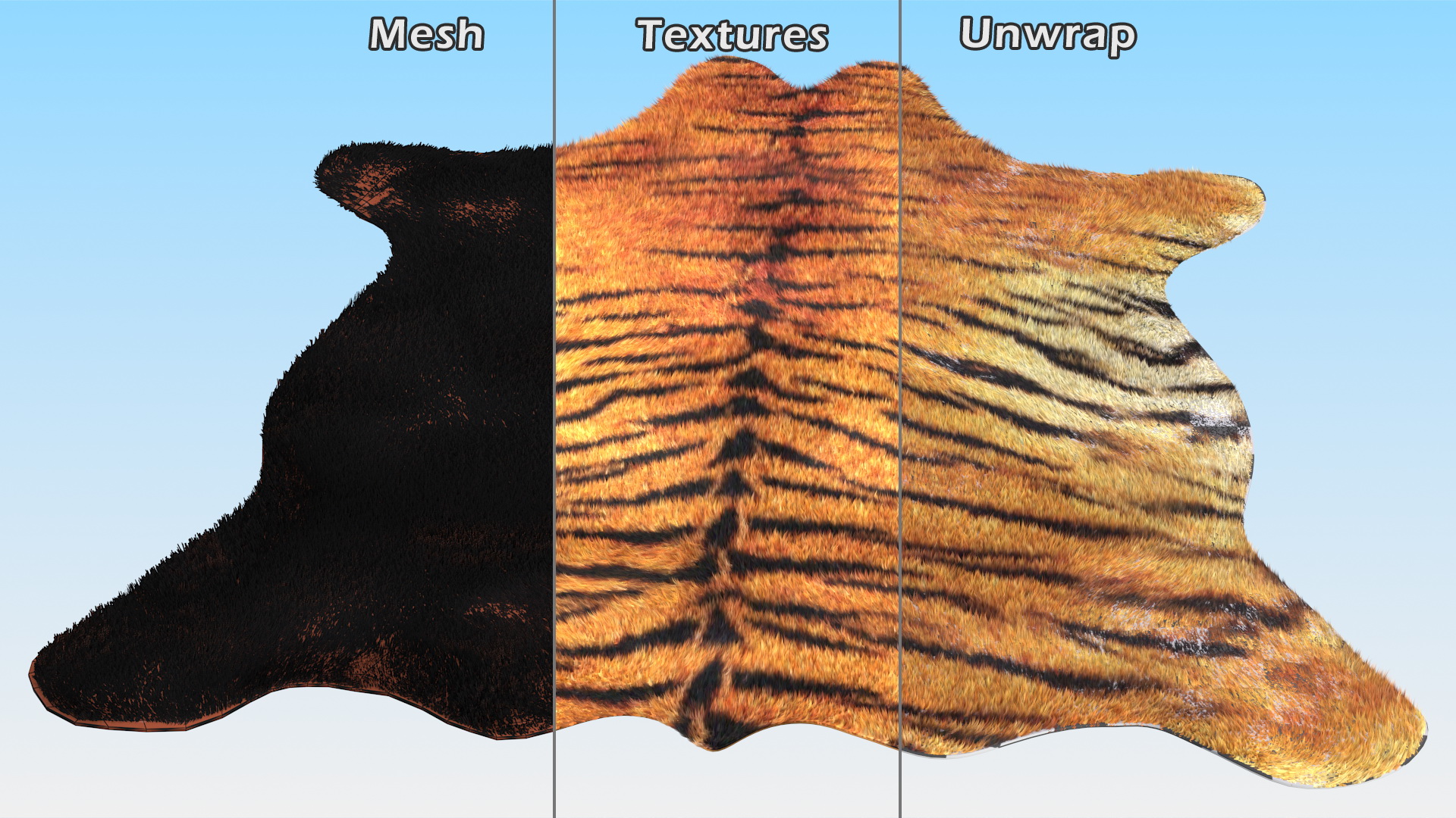 3D Tiger Hide Rug with Fur model