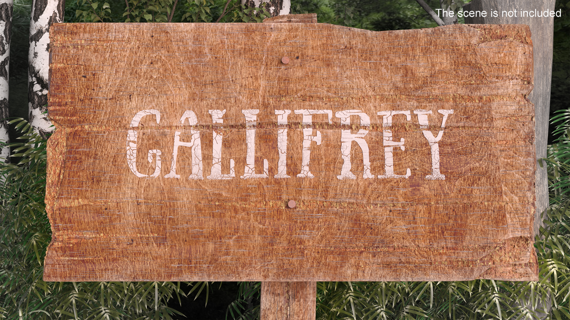 3D Aged Wooden Rural Signpost