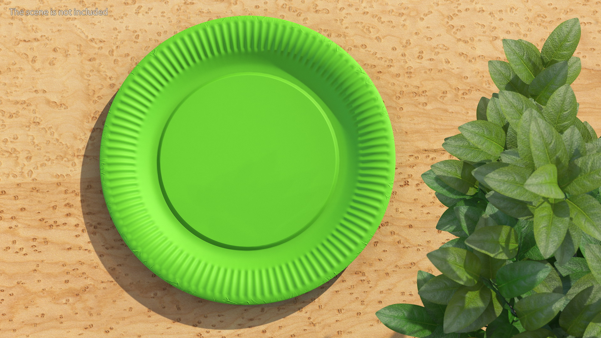 Green Paper Plate 3D