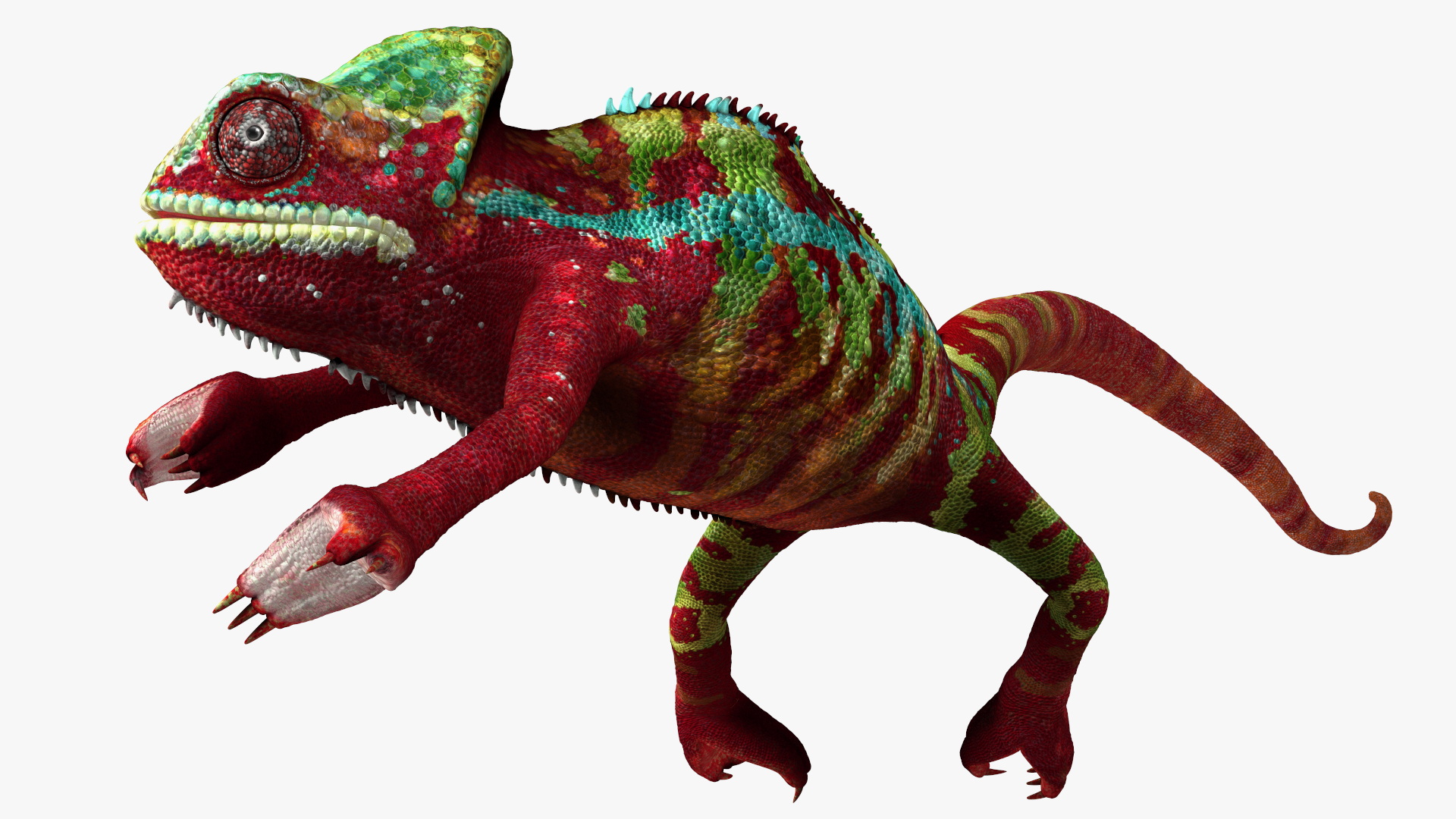 3D model Chameleon Red Rigged