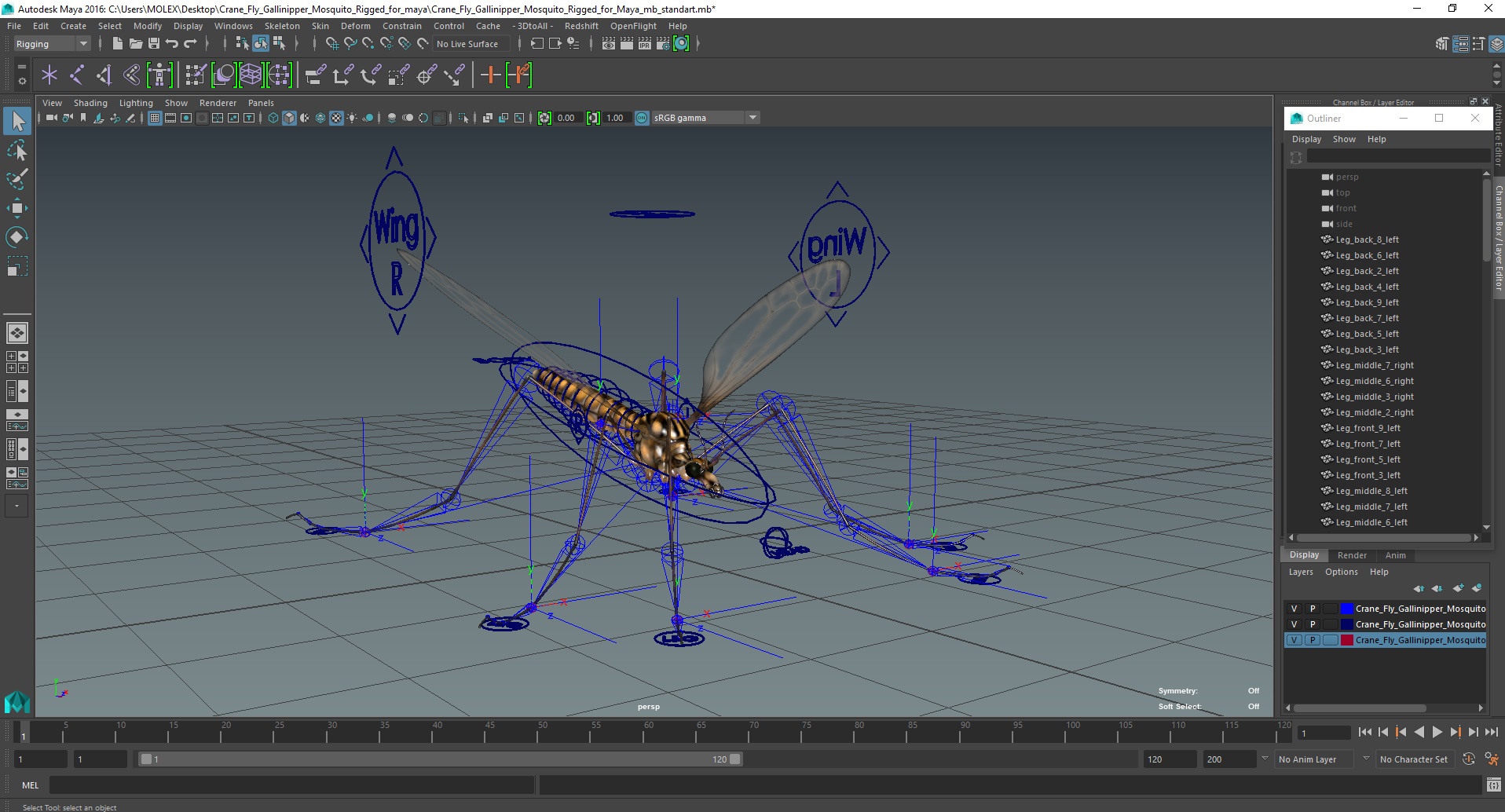 3D Crane Fly Gallinipper Mosquito Rigged for Maya