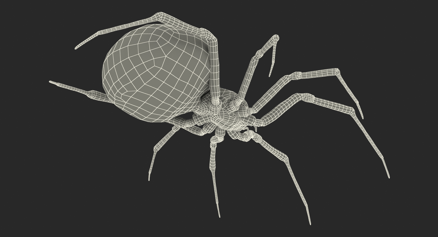 3D model Black Widow Spider Rigged