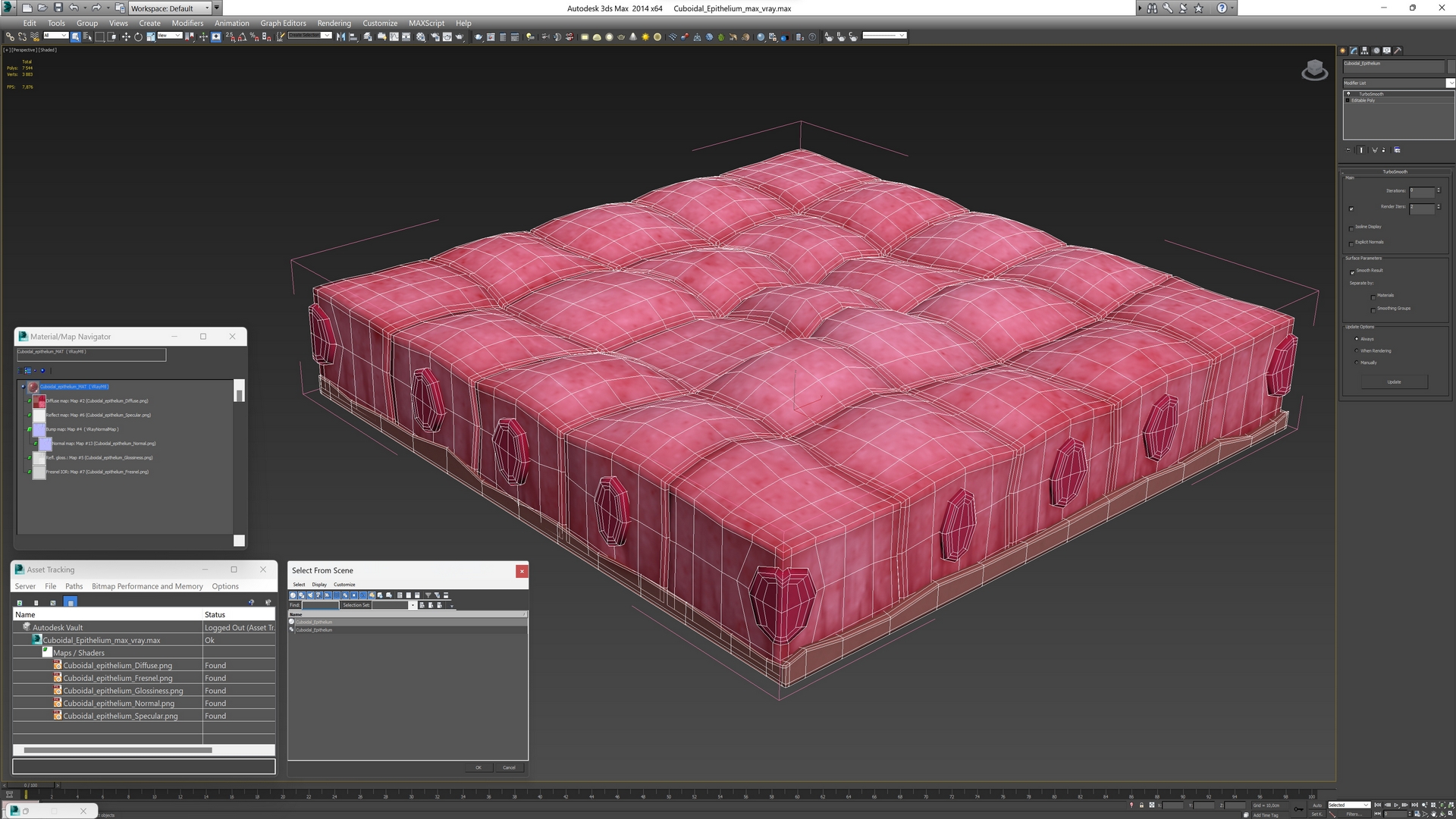 Cuboidal Epithelium 3D model