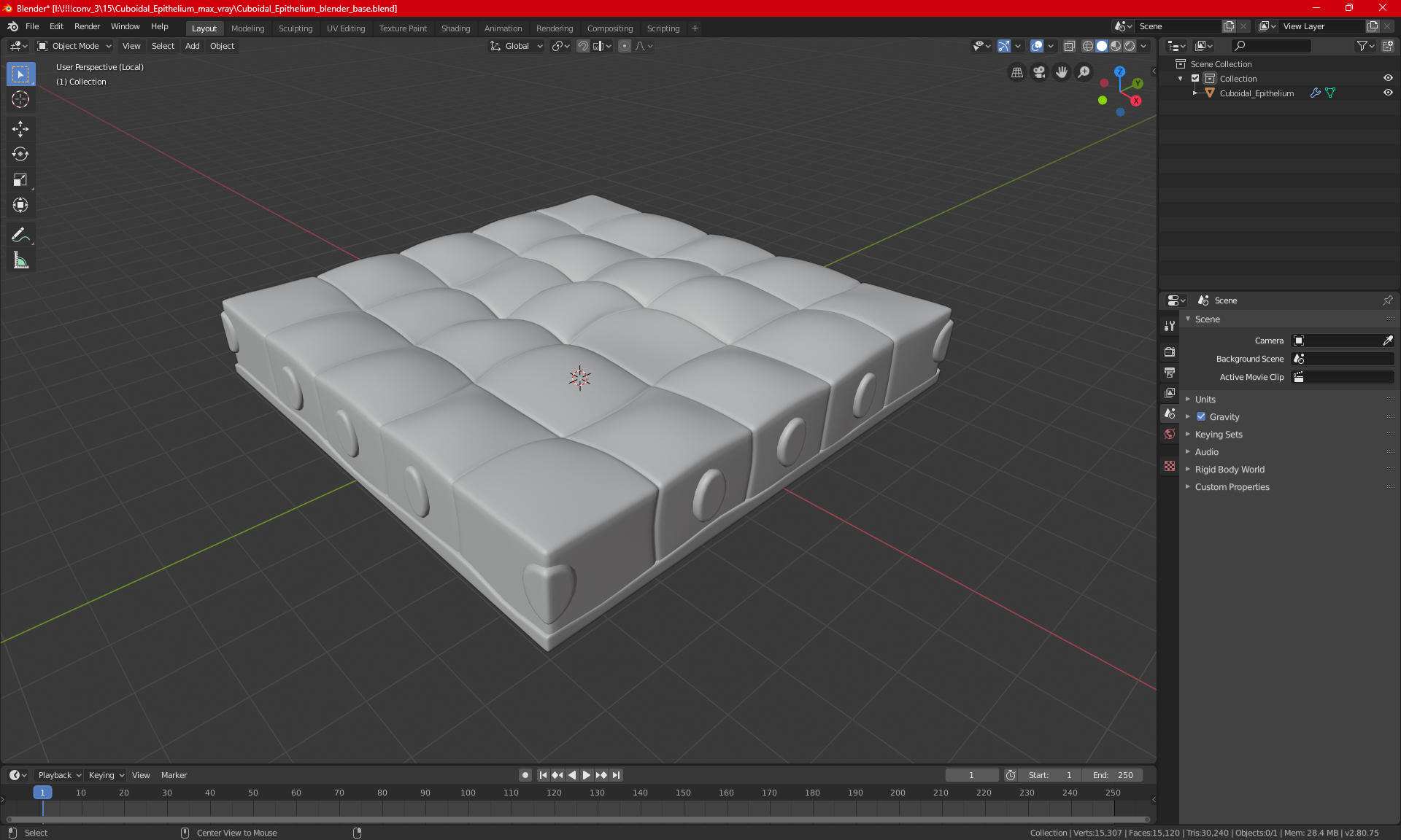 Cuboidal Epithelium 3D model