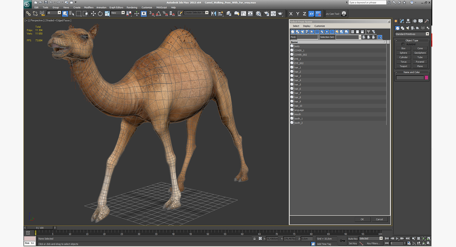 Camel Walking Pose With Fur 3D