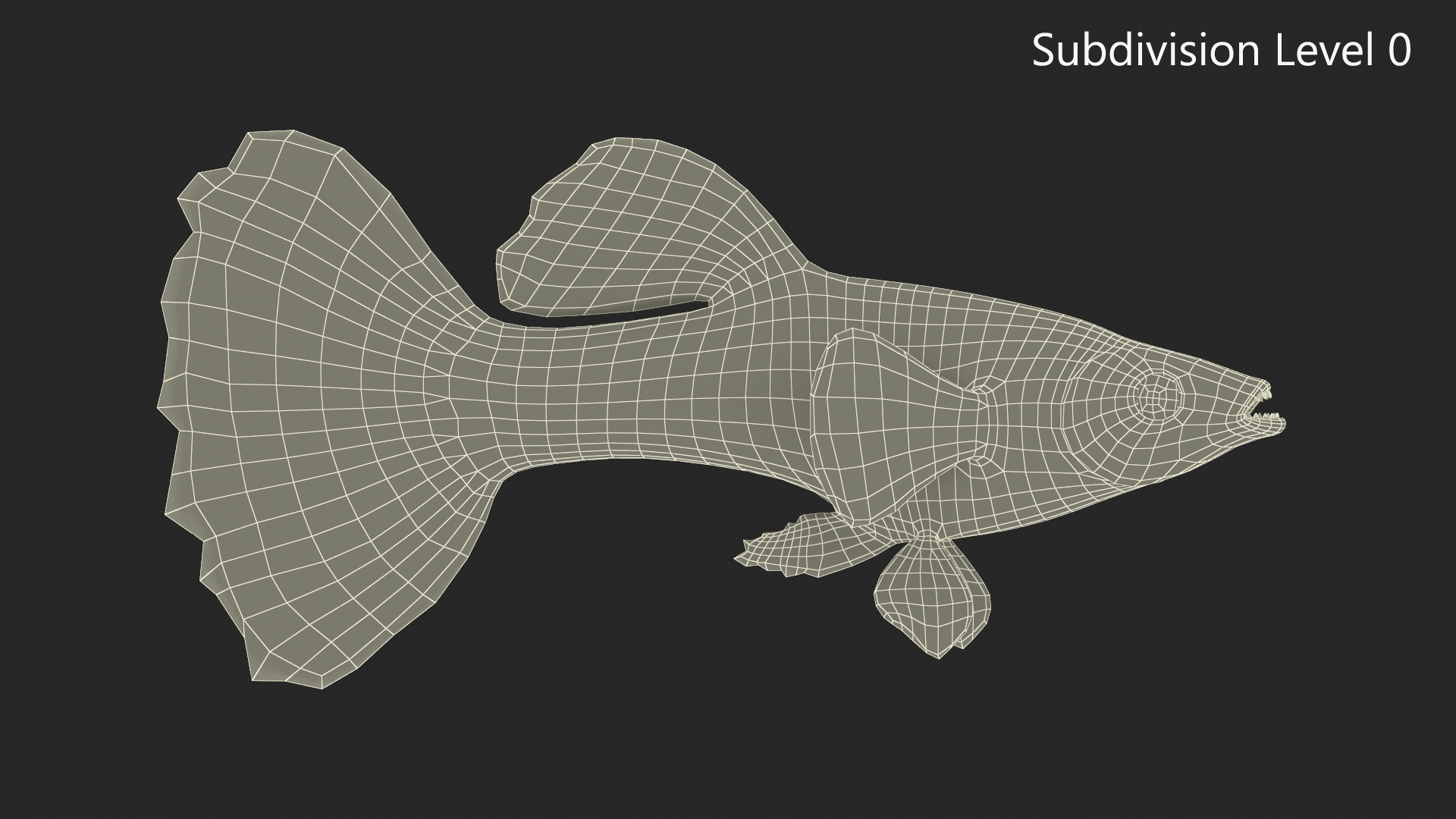 3D Guppy Fish Red Snake Rigged for Maya