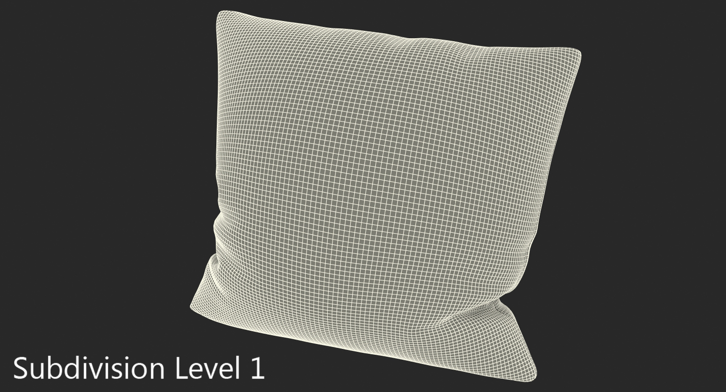 Leather Pillow 3D model