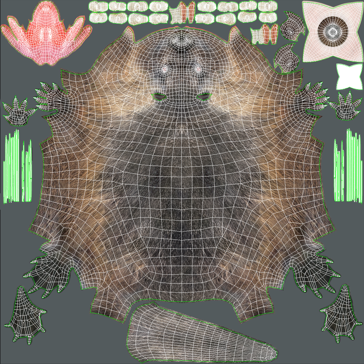 3D model Nutria Fur