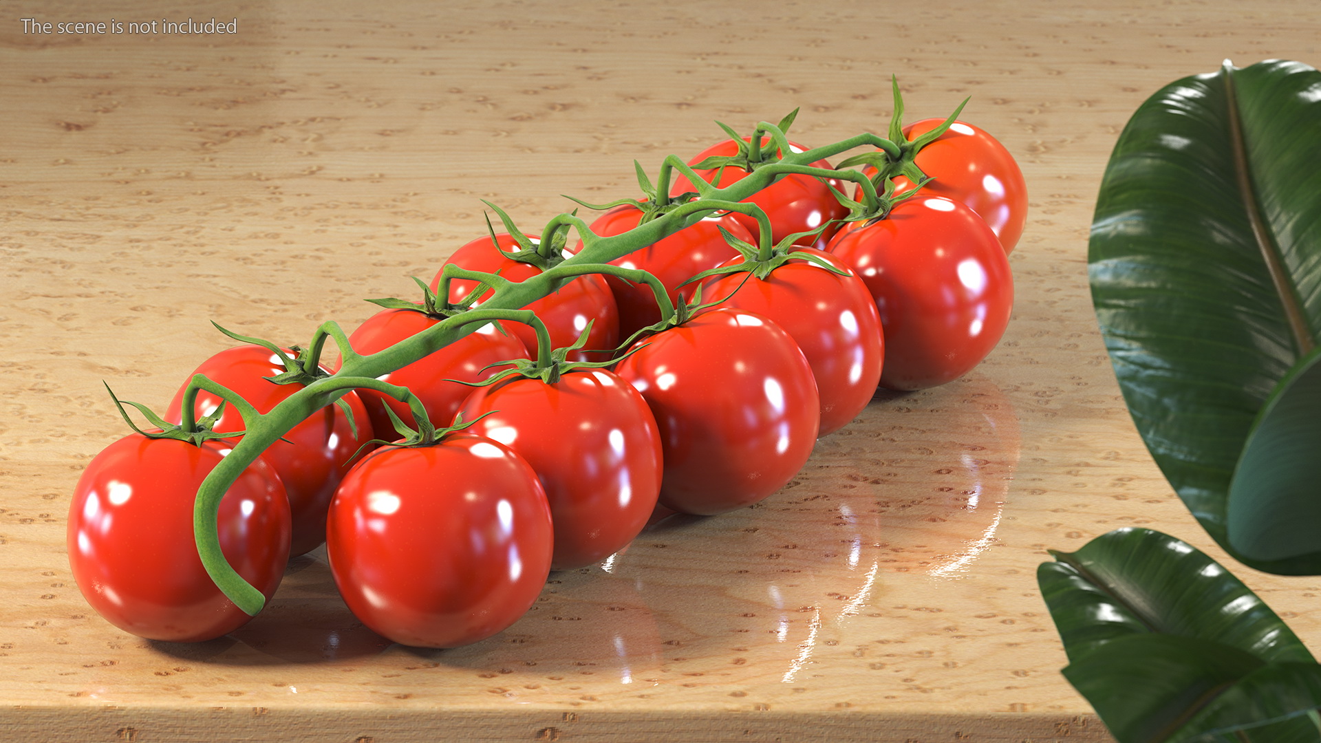 Cherry Tomatoes on the Vine 3D