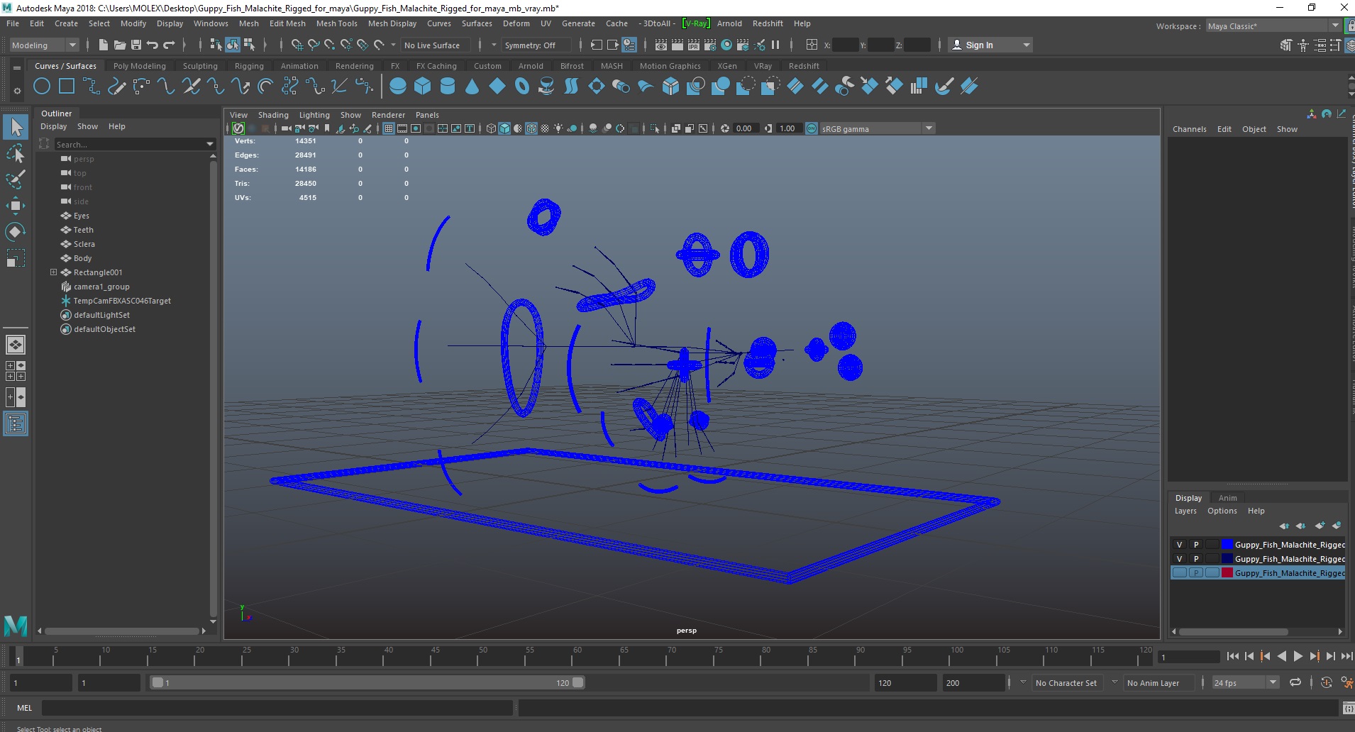 3D Guppy Fish Malachite Rigged for Maya