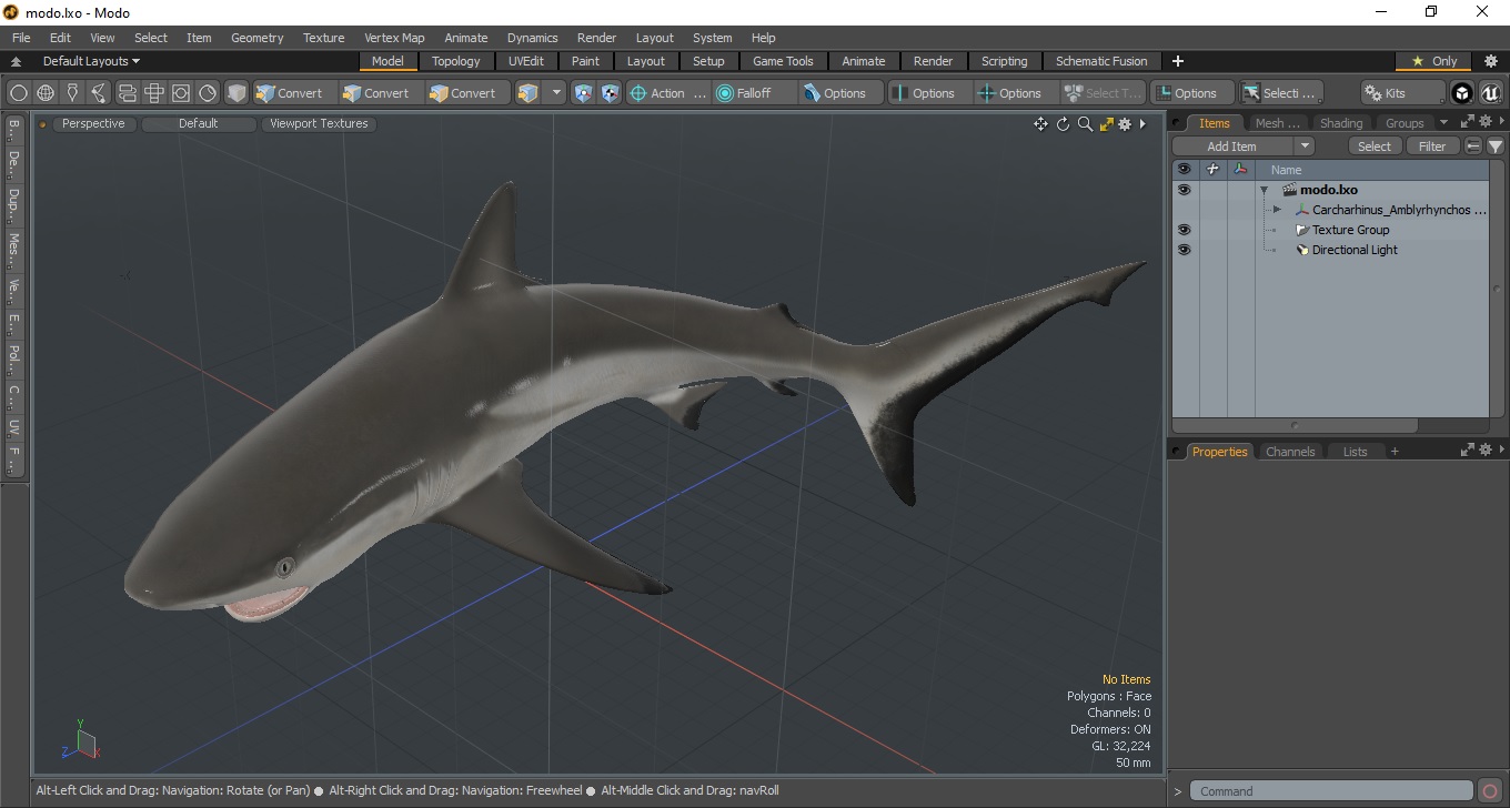 Carcharhinus Amblyrhynchos Shark 3D