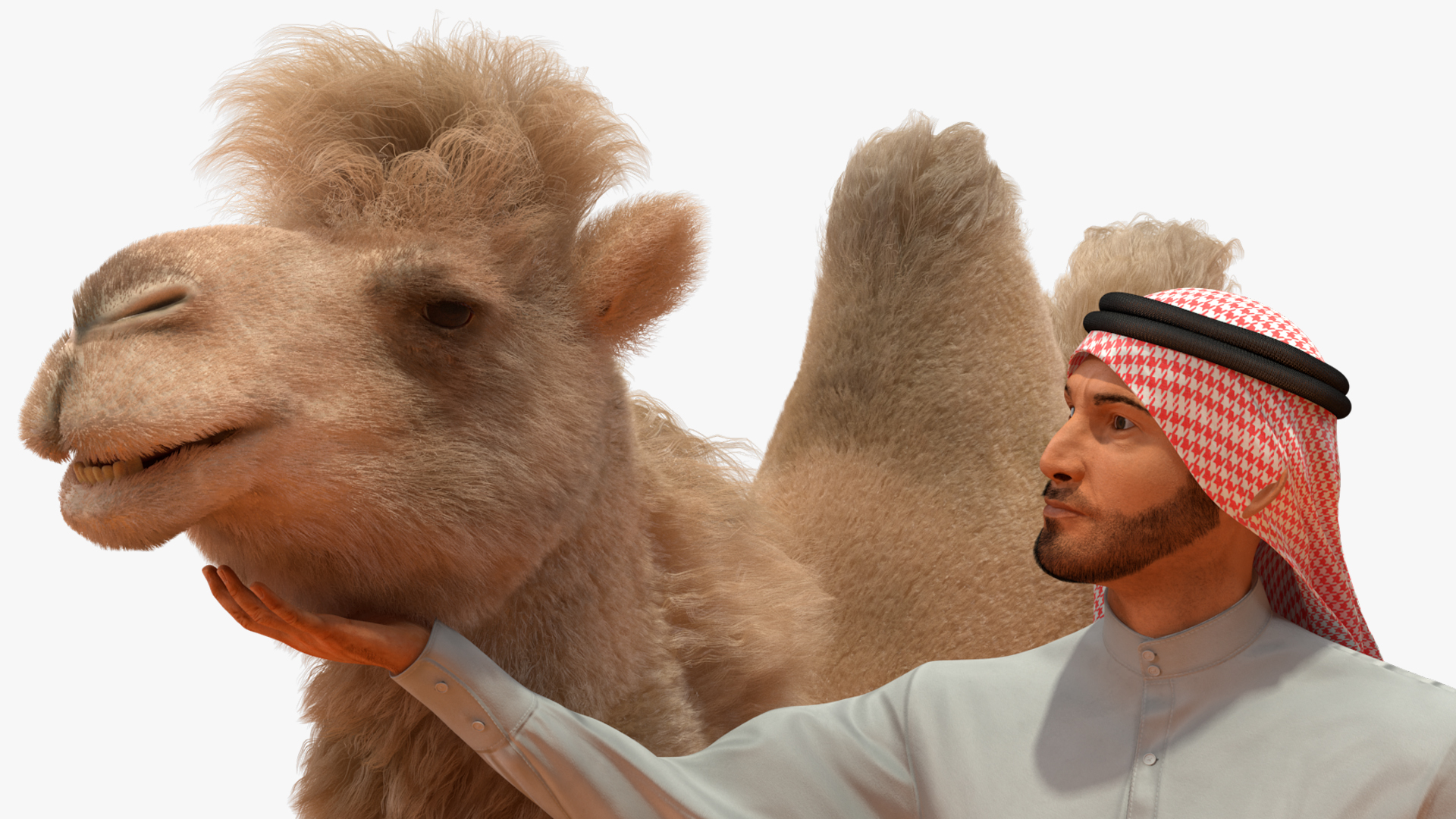 3D Arab Man with Camel on Desert Fur model