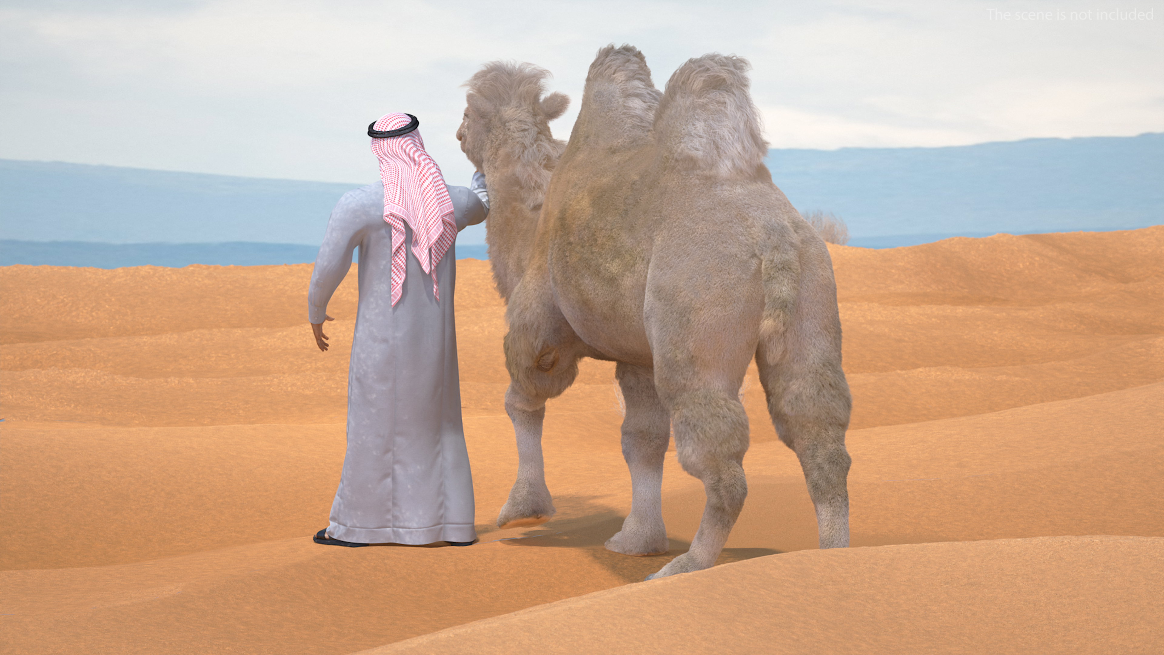 3D Arab Man with Camel on Desert Fur model