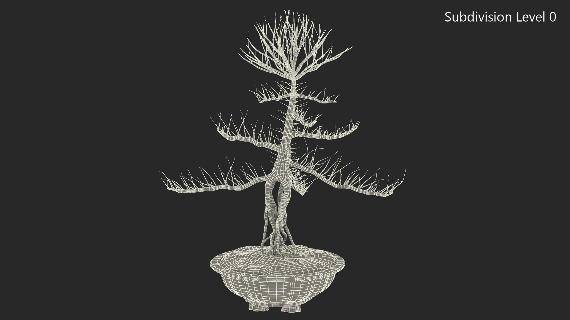 Bare Bonsai Tree in Pot Fur 3D