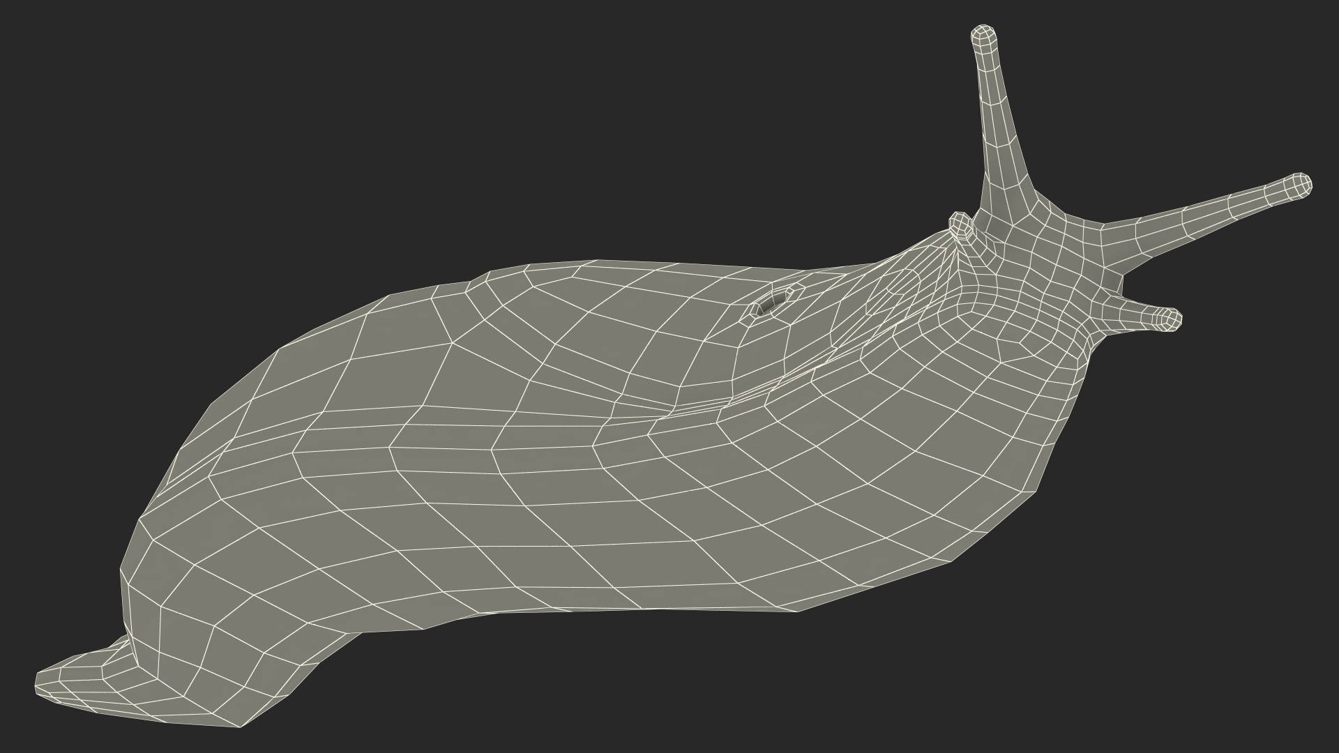 3D Iberian Slug Lying model