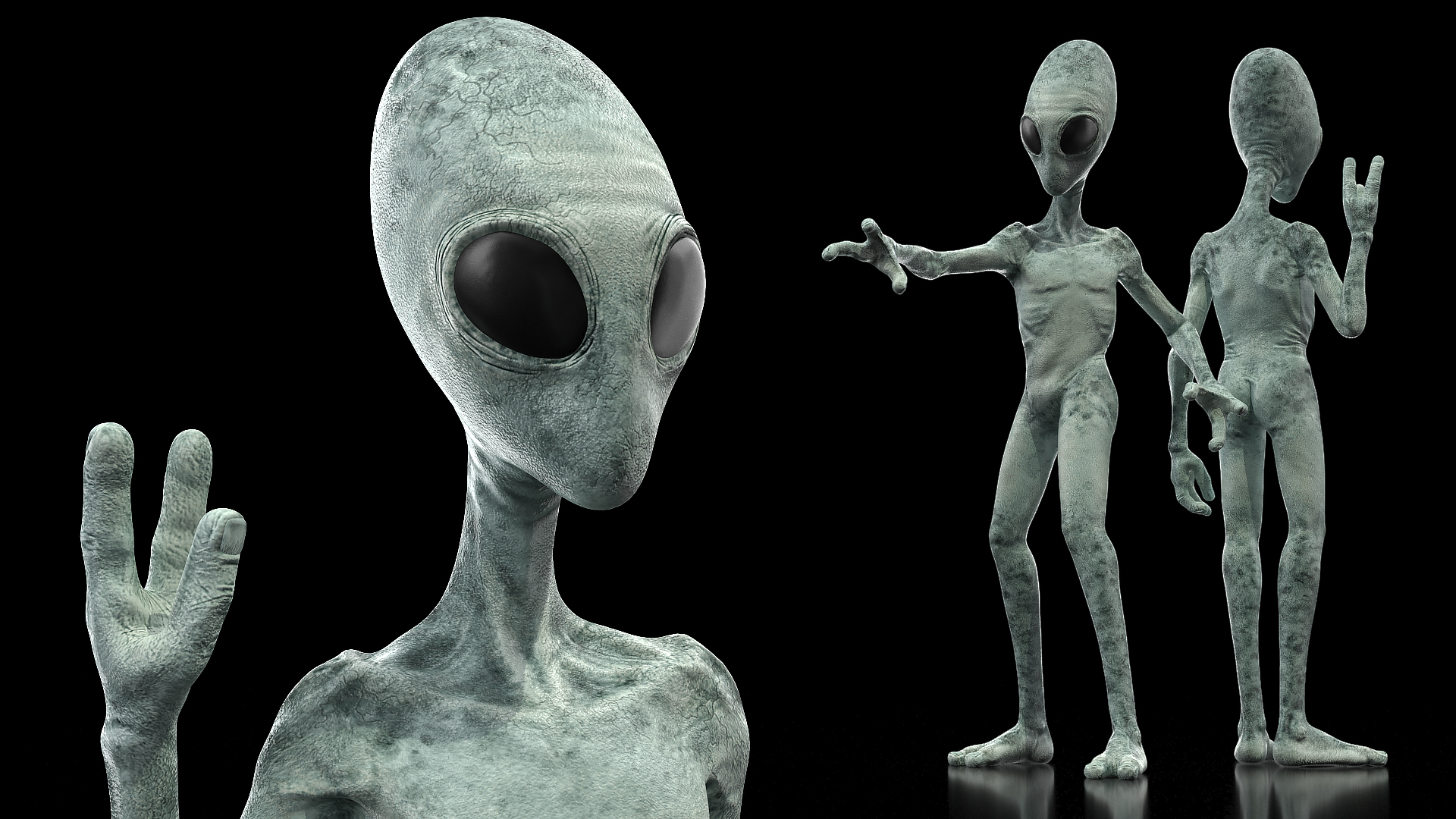 Extraterrestrial Alien Rigged 3D model