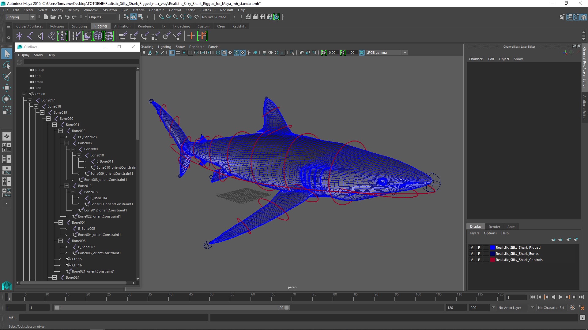 Realistic Silky Shark Rigged for Maya 3D