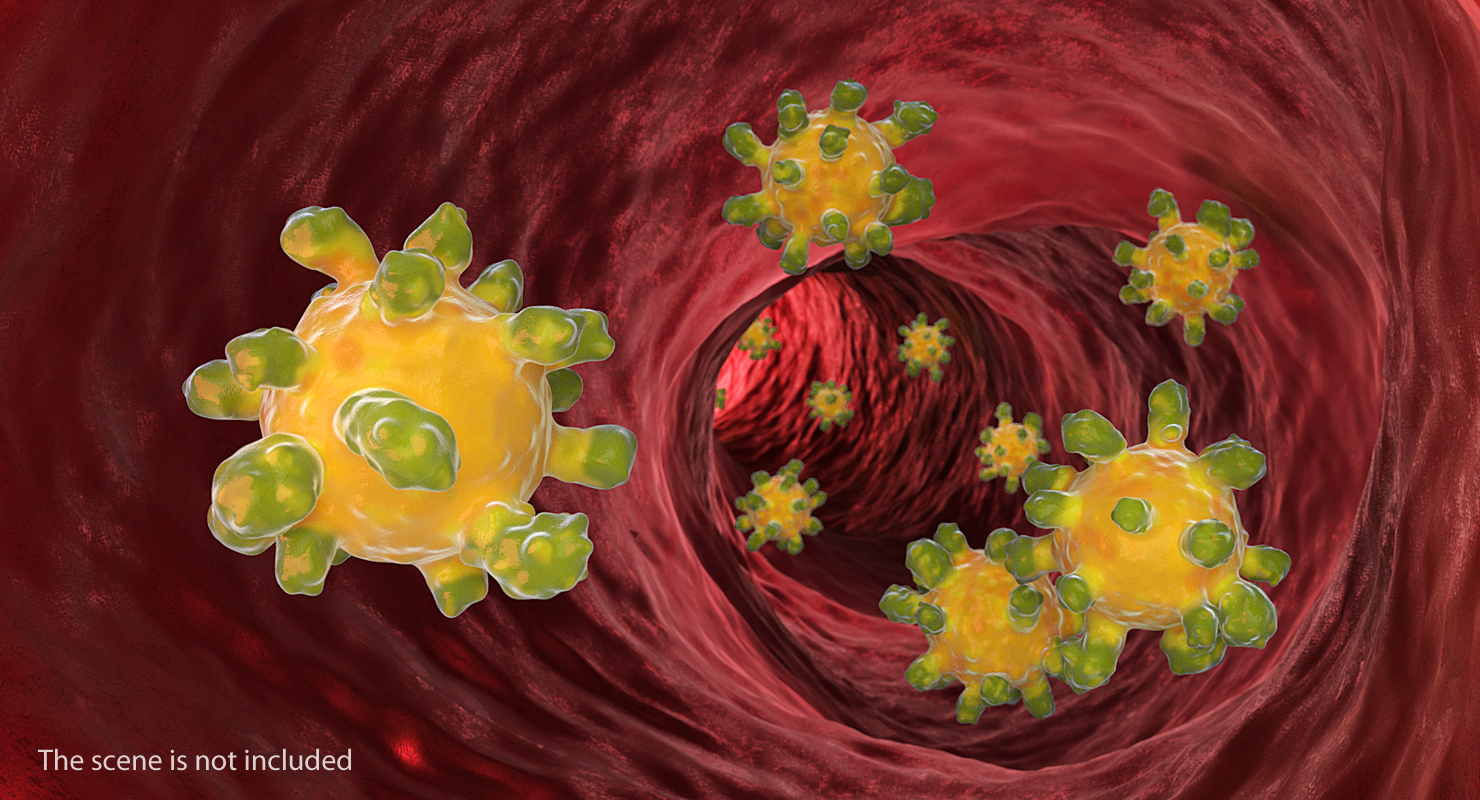 3D Measles Virus model