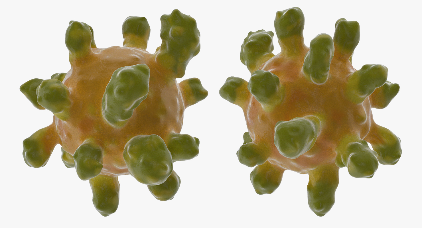 3D Measles Virus model