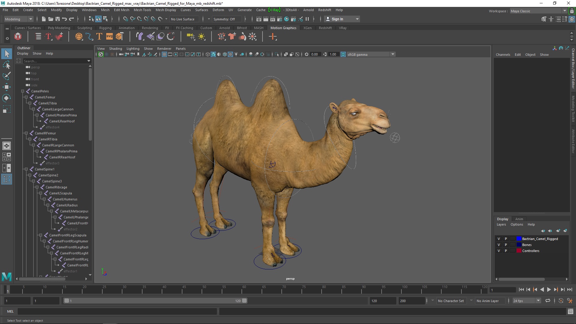 3D model Bactrian Camel Rigged for Maya