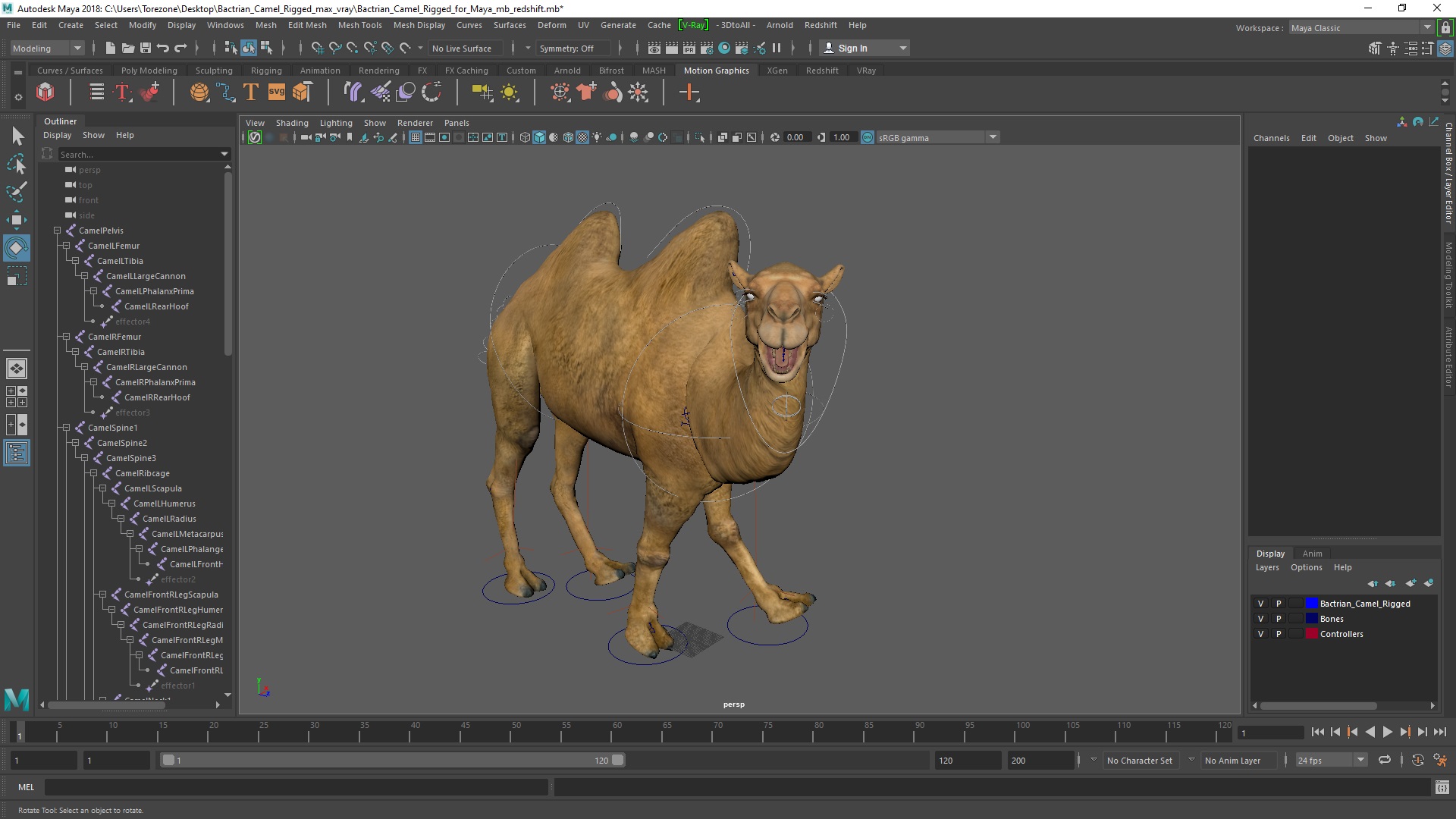 3D model Bactrian Camel Rigged for Maya