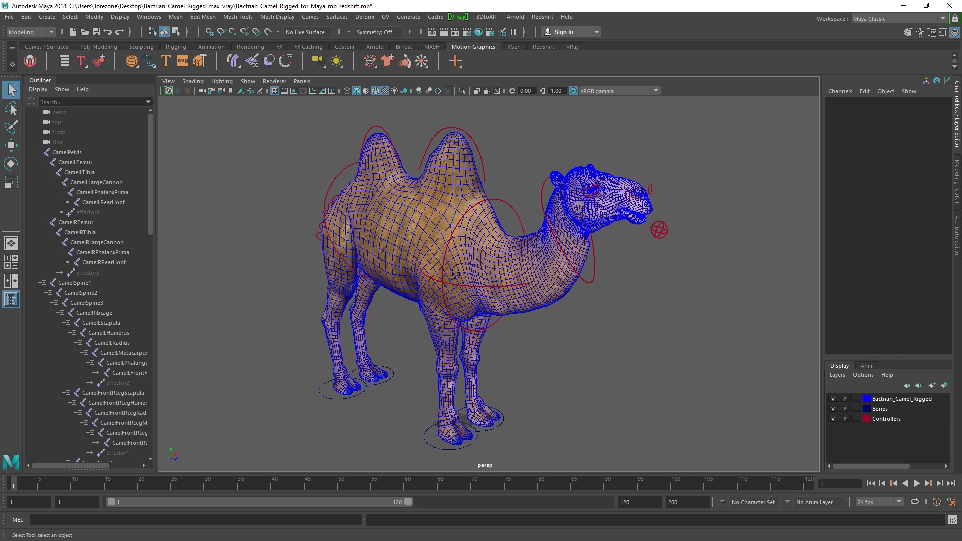 3D model Bactrian Camel Rigged for Maya