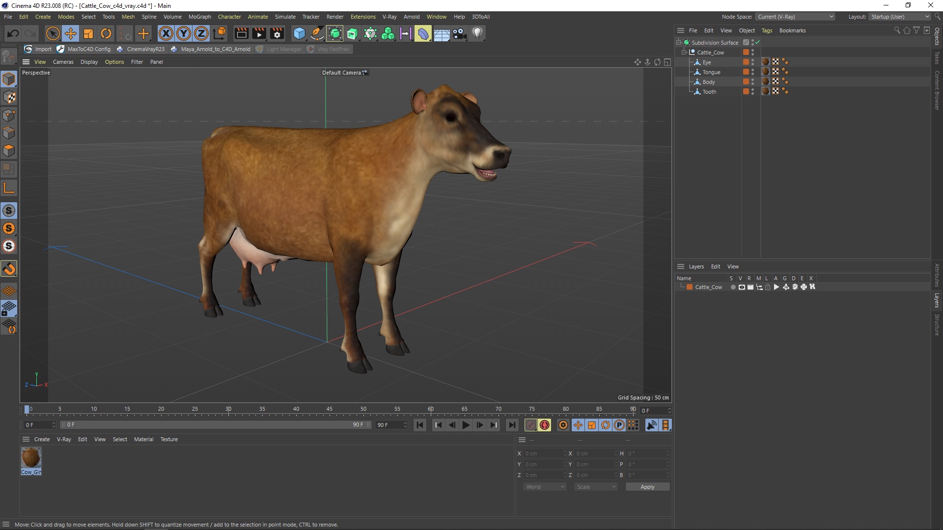 3D model Cattle Cow