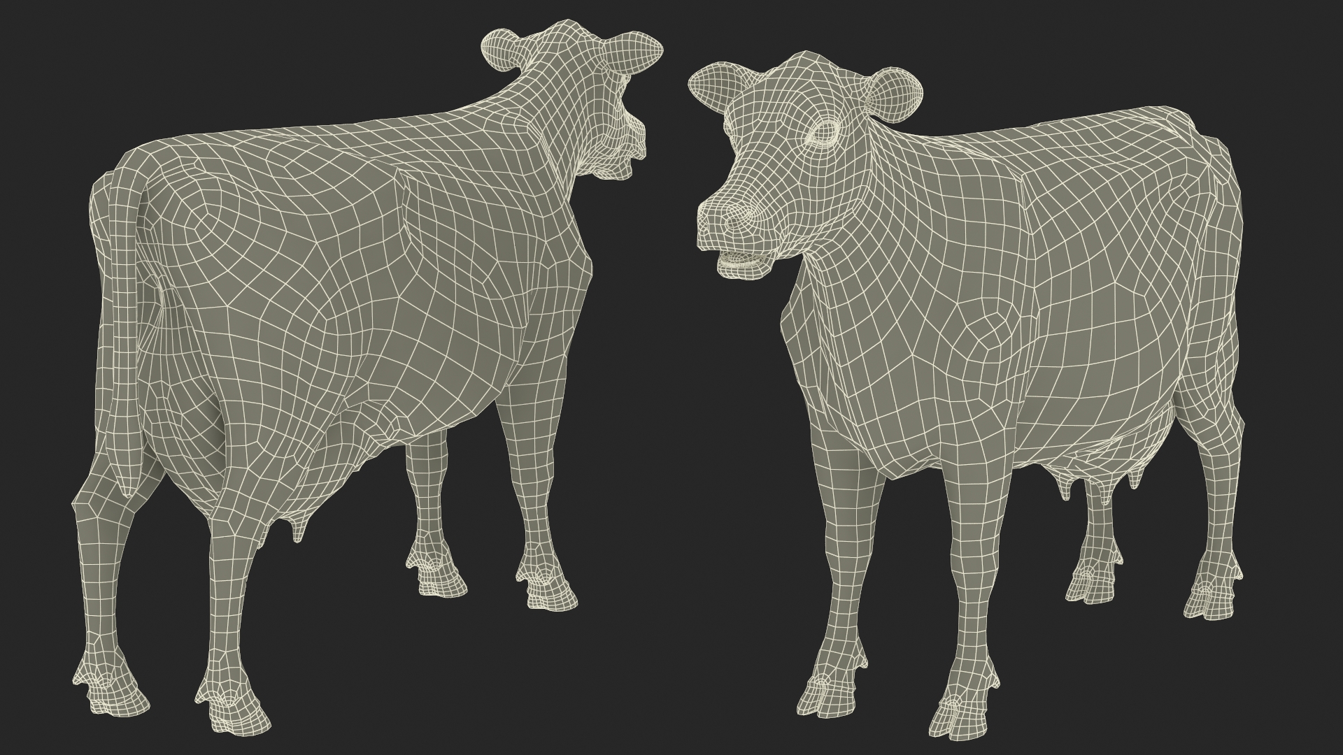 3D model Cattle Cow